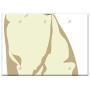 Triple Blank Wall Plate Cover - Siamese Cat Siamese Cat Kitty Kitten Pet Feline