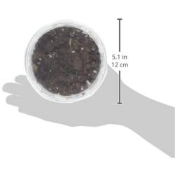 Ourpets Kitty Cat Growable Grass Kit