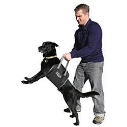 Outward Hound Dog Auto Gear - Dog Car Booster Seat, Backseat Hammock, Lift Harness for Travel