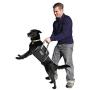 Outward Hound Dog Auto Gear - Dog Car Booster Seat, Backseat Hammock, Lift Harness for Travel