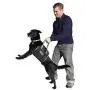 Outward Hound Dog Auto Gear - Dog Car Booster Seat, Backseat Hammock, Lift Harness for Travel Outward Hound Dog Auto Gear - Dog Car Booster Seat, Backseat Hammock, Lift Harness for Travel