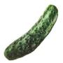 Pet Cat Toy Plush Canvas Bite Toys Catnip Cat Cite Vocal Creative Simulation Vegetable Chicken Bone Toy Chew Squeak Toy 41 A1