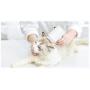 meinno 2 in 1 Dog Brush Bath Massage Brush,Shampoo Dispenser for Pet Grooming, Pet Grooming Tool with Soft Silicone Bristles to Give Gentle Massage for Dogs and Cats