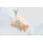 MYZOO Moku,Cloud Shape, Wall Mounted Cat Shelves, Floating Perch, Cat Tree,Solid Wood with Transparent Board MYZOO Moku,Cloud Shape, Wall Mounted Cat Shelves, Floating Perch, Cat Tree,Solid Wood with Transparent Board