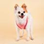 Puppia Evon Harness A