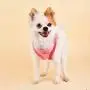 Puppia Evon Harness A Puppia Evon Harness A