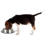 OurPets DuraPet Premium No-Tip Stainless Steel Pet Bowls