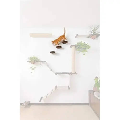 20CM Round Wooden Wall Shelf for Decorations or Cat’s Platform | Large Mounted Cat Perch |Create a Cat Tree Play Centre 20CM Round Wooden Wall Shelf for Decorations or Cat’s Platform | Large Mounted Cat Perch |Create a Cat Tree Play Centre