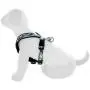 Pawtitas Pet Training Soft Adjustable Reflective Oxford Padded Puppy/Dog Harness, Step in or Vest Harness, Comfort Control, Training Walking - No More Pulling, Tugging, Choking, Prevent Pulling Pawtitas Pet Training Soft Adjustable Reflective Oxford Padded Puppy/Dog Harness, Step in or Vest Harness, Comfort Control, Training Walking - No More Pulling, Tugging, Choking, Prevent Pulling