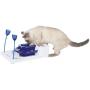 Royal Pet Club Activity