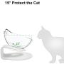 Hkapps Cat Double Food Bowl Pet Food Bowl with Stand,15° Tilted Platform, Reduce Neck Pain Perfect for Small Dog and Cat (Transparent)
