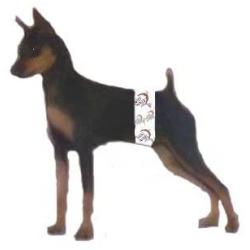 Wiki Wags Extra Small Male Dog Wraps