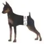 Wiki Wags Extra Small Male Dog Wraps Wiki Wags Extra Small Male Dog Wraps