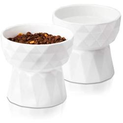 Frewinky Cat Bowls,Ceramic Cat Bowls Anti Vomiting,Raised-Cat Food and Water Bowl Set for Cats and Small Dogs,13.5 Oz