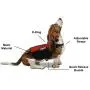 Dogline Emotional Support Dog Vest Set Adjustable Service Dog Vest Harness Reflective Emotional Support & ESA Patches with Emotional Support Leash Emotional Support Animal ID Card