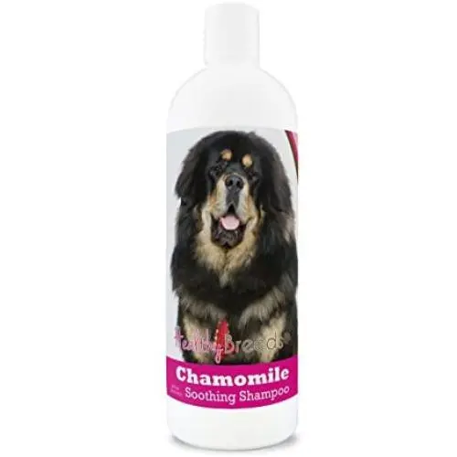 Healthy Breeds Chamomile Dog Shampoo & Conditioner with Oatmeal & Aloe for Tibetan Mastiff - OVER 200 BREEDS - 8 oz - Gentle for Dry Itchy Skin - Safe with Flea and Tick Topicals Healthy Breeds Chamomile Dog Shampoo & Conditioner with Oatmeal & Aloe for Tibetan Mastiff - OVER 200 BREEDS - 8 oz - Gentle for Dry Itchy Skin - Safe with Flea and Tick Topicals