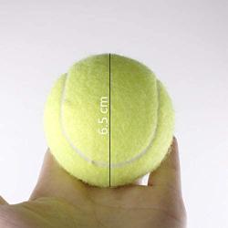 July miracle Tennis Balls 3 Pcs Training Sport Play Cricket Dog Toy for Lessons, Practice, Playing & Throwing Machines with Pets