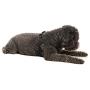 Gooby Dog Harness - Comfort X Step-in Small Dog Harness with Patented Choke-Free X Frame - Perfect on The Go No Pull Harness for Small Dogs or Cat Harness