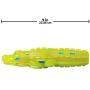 Nerf Dog Water Soaking Dog Toy with Interactive Squeaker, Lightweight, Durable and Water Resistant, for Small/Medium/Large Breeds, Single Unit
