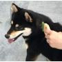 Philocomb E2 Hard (in English package), a gentle, flexible grooming comb for dog..,