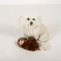 Fringe Studio Slown Dwn for Summer Sloth Pet Toy