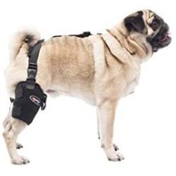 Caldera PET106 Pet Therapy Universal Wrap Tarsal/Stifle with Gel, Small, Black