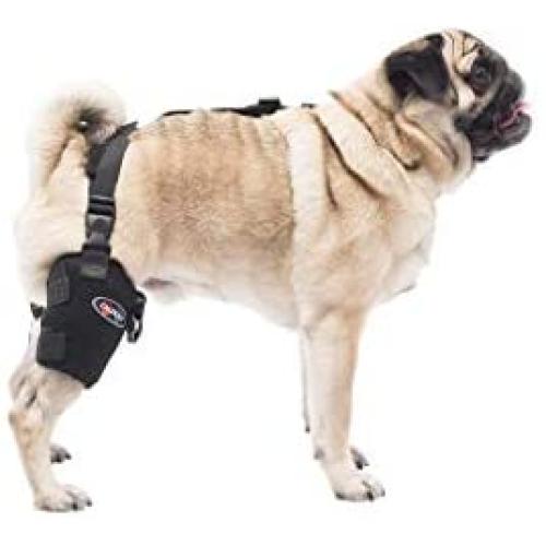 Caldera PET106 Pet Therapy Universal Wrap Tarsal/Stifle with Gel, Small, Black