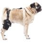 Caldera PET106 Pet Therapy Universal Wrap Tarsal/Stifle with Gel, Small, Black