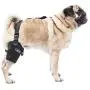 Caldera PET106 Pet Therapy Universal Wrap Tarsal/Stifle with Gel, Small, Black Caldera PET106 Pet Therapy Universal Wrap Tarsal/Stifle with Gel, Small, Black