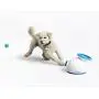 iFetch Interactive Ball Launchers for Dogs iFetch Interactive Ball Launchers for Dogs
