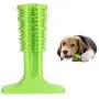 ADTBLL Dog Chew Toothbrush, Doggy Teeth Cleaning Dental Care Massager Nontoxic Natural Chew Toys ADTBLL Dog Chew Toothbrush, Doggy Teeth Cleaning Dental Care Massager Nontoxic Natural Chew Toys