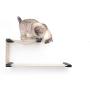 CatastrophiCreations Cat Double Decker Wall Mounted Lounge and Play Furniture Cat Tree Shelves - Onyx/Natural, One Size