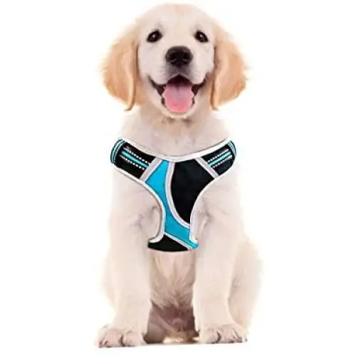 Petties&Sweeties No Pull Dog Harness, Reflective Adjustable Soft Padded Vest Unique Colors,with a Easy Control Training Handle