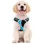 Petties&Sweeties No Pull Dog Harness, Reflective Adjustable Soft Padded Vest Unique Colors,with a Easy Control Training Handle