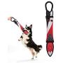 purrrfect life Dog Chew Toys Chew Toys with Rope for Dogs Fire Hose No Stuffing Dog Durable Squeaky Wubba Interactive Tug Toys