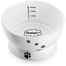Y YHY Cat Water Bowl,Raised Cat Food Dish,Elevated Cat Bowl No Spill,Ceramic Pet Bowls for Cats or Small Dogs,Dishwasher Safe