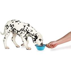 Dexas Pets Collapsible Travel Cup