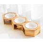 Selling Like HoTcAkEs Guitar- Shaped Cat Scratcher and House Decoration and Hexagonal Pet Feeders with Ceramic Bowls