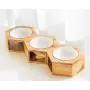 Selling Like HoTcAkEs Guitar- Shaped Cat Scratcher and House Decoration and Hexagonal Pet Feeders with Ceramic Bowls