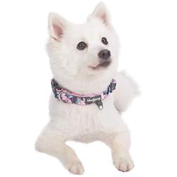 Blueberry Pet 10+ Patterns Soft & Comfy Flower Print Neoprene Padded Dog Collars