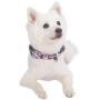 Blueberry Pet 10+ Patterns Soft & Comfy Flower Print Neoprene Padded Dog Collars