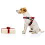 Dihapet Service Dog Vest Harness with Handle, Lightweight Full Adjustable Dog Vest, Neoprene Padded Soft for Summer Outdoor Walk Training