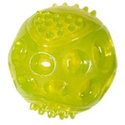 Chase n Chomp Durable TPR Squeaking Fetch Ball Dog Toy