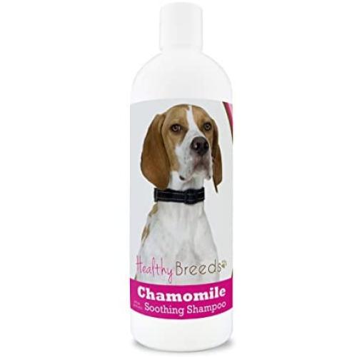 Healthy Breeds Chamomile Dog Shampoo & Conditioner with Oatmeal & Aloe for English Pointer - OVER 200 BREEDS - 8 oz - Gentle for Dry Itchy Skin - Safe with Flea and Tick Topicals
