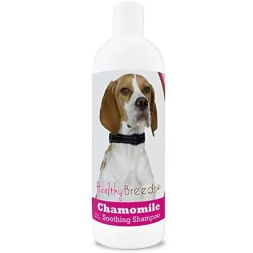 Healthy Breeds Chamomile Dog Shampoo & Conditioner with Oatmeal & Aloe for English Pointer - OVER 200 BREEDS - 8 oz - Gentle for Dry Itchy Skin - Safe with Flea and Tick Topicals Healthy Breeds Chamomile Dog Shampoo & Conditioner with Oatmeal & Aloe for English Pointer - OVER 200 BREEDS - 8 oz - Gentle for Dry Itchy Skin - Safe with Flea and Tick Topicals