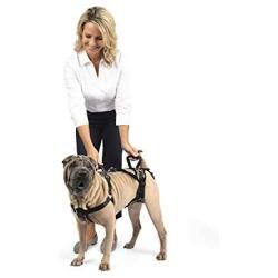 PetSafe CareLift Support Harness - Full Body Lifting Aid with Handle - Great for Pet Mobility and Older Dogs - Comfortable, Breathable Material - Easy to Adjust