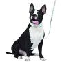 Jonathan Adler: Now House Mint Terrazzo Multi-Functional Leash, Stylish and Functional Way to Keep Your Dog Looking Great