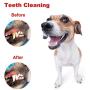 Small Dog Chew Toys, HAOPINSH Treat Dispenser Toy for Small Breed Dogs and Puppies, Rubber Interactive Dog Toys Dog Treat Dispensing Toy for Teeth Cleaning Training Chewing and Playing