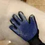 YS·AU Pet Hair Remover Glove Gentle Pet Grooming Glove Brush Efficient Deshedding Glove - Massage Mitt with Enhanced Five Finger Design Perfect for Dogs & Cats with Long & Short Fur - 1 Pack YS·AU Pet Hair Remover Glove Gentle Pet Grooming Glove Brush Efficient Deshedding Glove - Massage Mitt with Enhanced Five Finger Design Perfect for Dogs & Cats with Long & Short Fur - 1 Pack