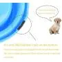 Cdipesp Dog Bowl Set Pet Food and Water Feeder Non-Skid Outdoor Cat Bowls Feeding Dish for Puppy Small Medium Dogs Cdipesp Dog Bowl Set Pet Food and Water Feeder Non-Skid Outdoor Cat Bowls Feeding Dish for Puppy Small Medium Dogs